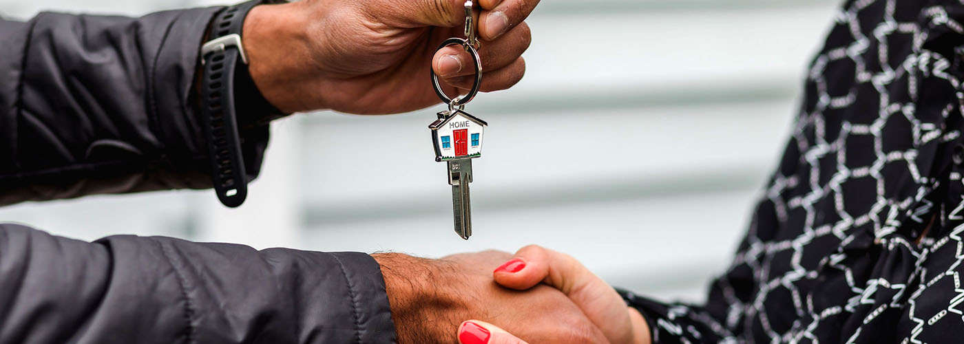 Property & Real Estate